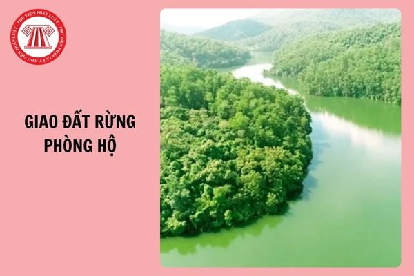 Hỏi đáp Pháp luật