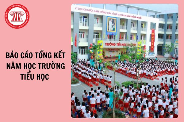 Mẫu báo cáo tổng kết năm học 2024 2025 trường tiểu học mới nhất?