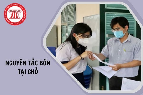 Hỏi đáp Pháp luật