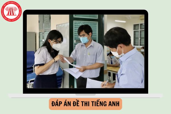 FULL đáp án đề thi Tiếng Anh Mã đề 15 thi tốt nghiệp THPT 2025 thế nào?
