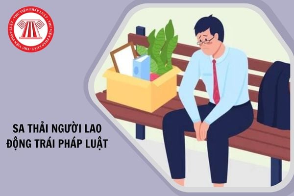 Hỏi đáp Pháp luật