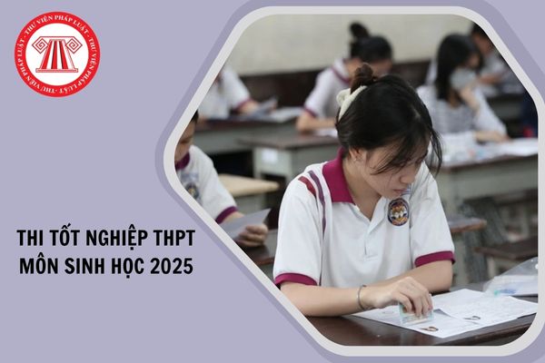 Đáp án đề thi tốt nghiệp THPT môn Sinh học 2025 chi tiết như thế nào?