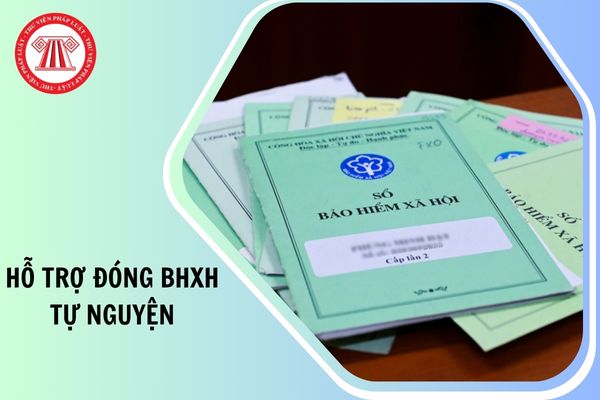 Hỏi đáp Pháp luật