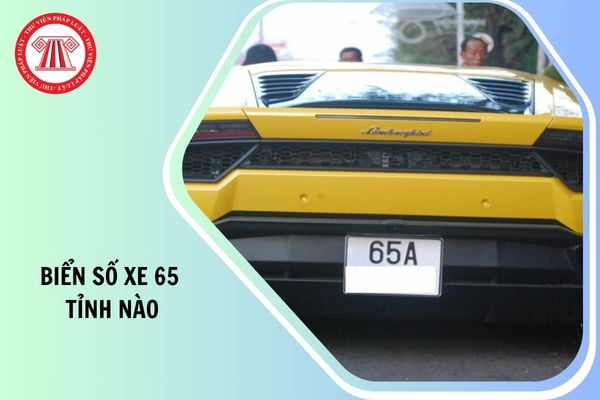 Hỏi đáp Pháp luật