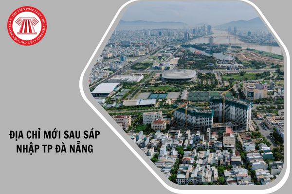 Hỏi đáp Pháp luật