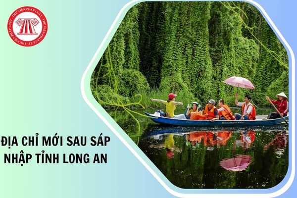 Hỏi đáp Pháp luật