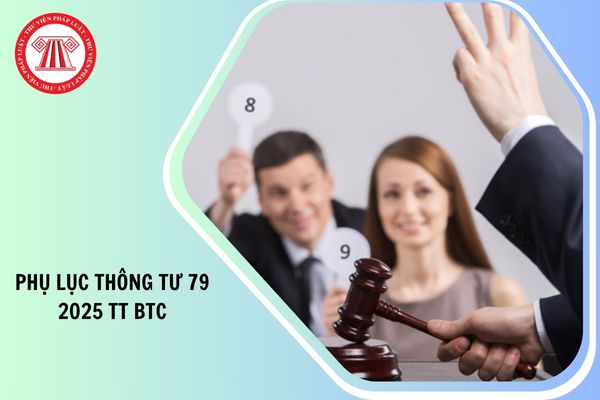 Hướng dẫn Áp dụng các Mẫu hồ sơ và Phụ lục Thông tư 79 2025 TT BTC như thế nào?