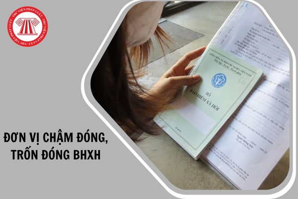 Hỏi đáp Pháp luật