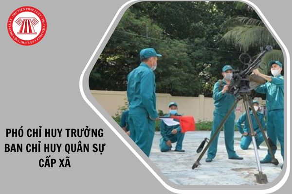 Hỏi đáp Pháp luật