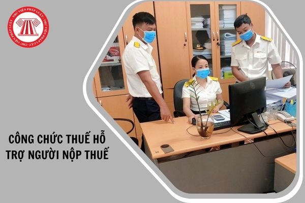 Hỏi đáp Pháp luật