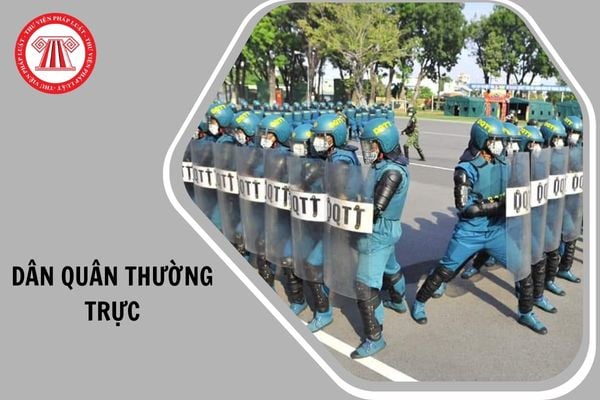 Hỏi đáp Pháp luật