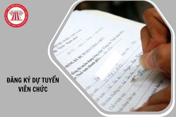 Hỏi đáp Pháp luật