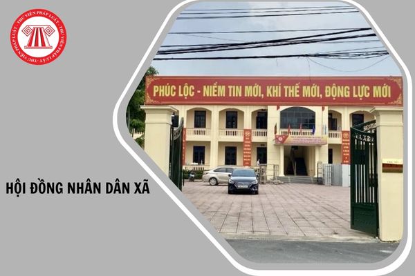Hỏi đáp Pháp luật