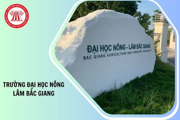 Điểm chuẩn trường Đại học Nông Lâm Bắc Giang 2025 bao nhiêu?