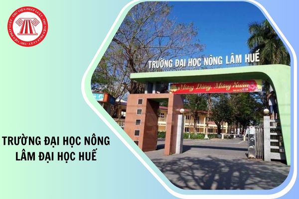 Chính thức điểm chuẩn trường Đại học Nông Lâm Đại học Huế 2025 như thế nào?
