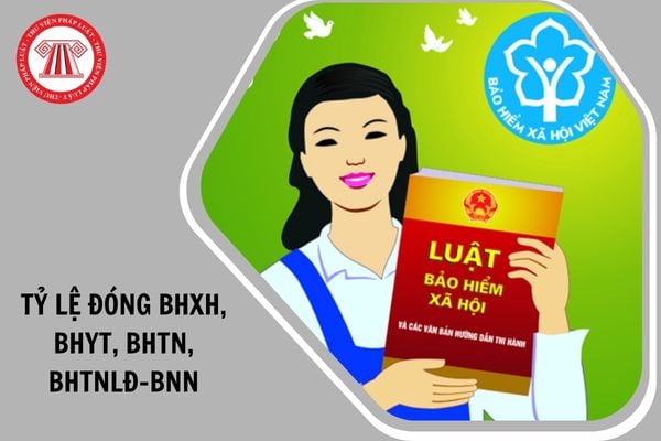 Hỏi đáp Pháp luật
