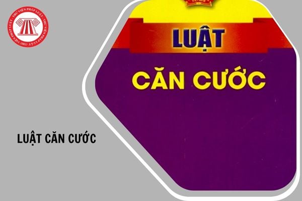 Hỏi đáp Pháp luật