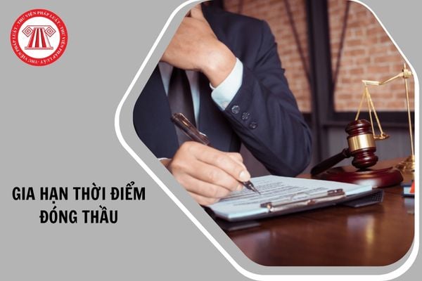 Chủ thể nào được gia hạn thời điểm đóng thầu trên Hệ thống mạng đấu thầu quốc gia?