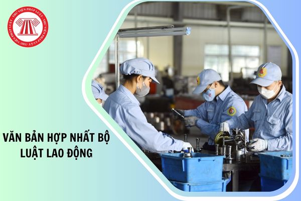 Hỏi đáp Pháp luật