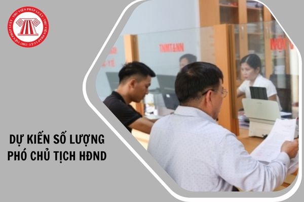 Hỏi đáp Pháp luật