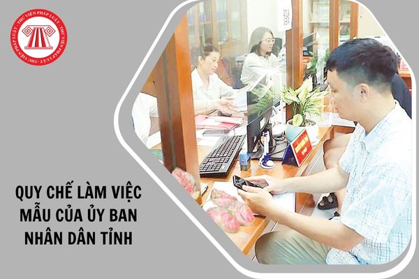 Hỏi đáp Pháp luật