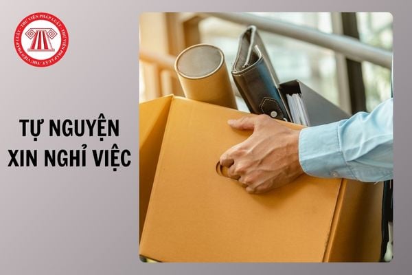 Hỏi đáp Pháp luật