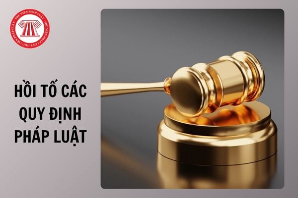Hỏi đáp Pháp luật