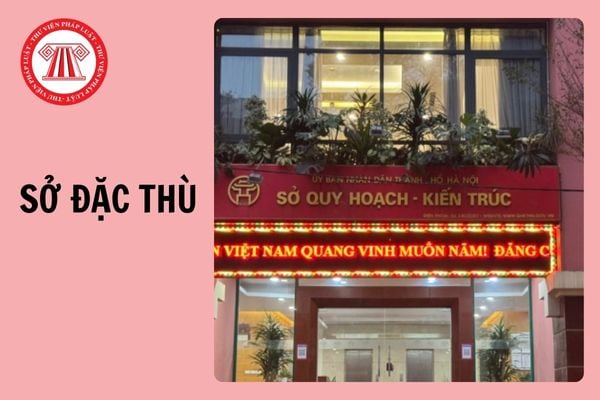 Tiêu chí thành lập 4 sở đặc thù được tổ chức ở một số tỉnh, thành năm 2025?