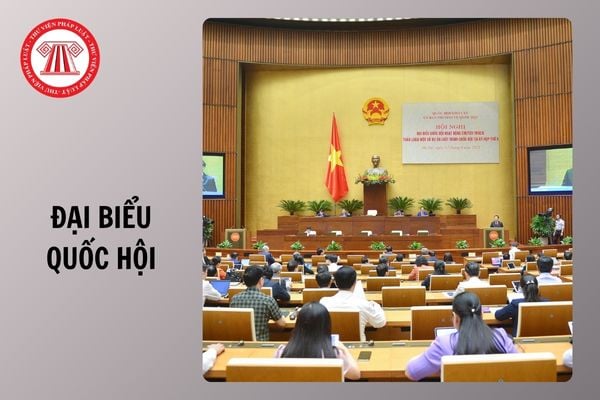 Hỏi đáp Pháp luật