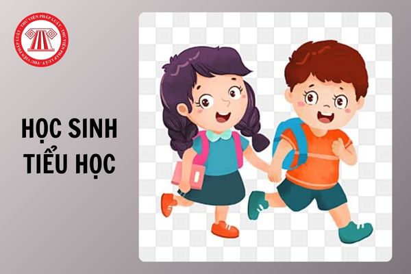 Học sinh tiểu học chuyển trường sẽ không phải nộp kèm học bạ trong hồ sơ từ 02/10/2025 đúng không?