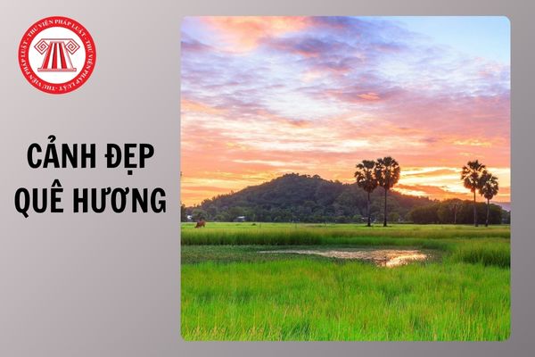 Viết một đoạn văn tả cảnh đẹp quê hương em lớp 3 hay và chọn lọc năm 2025?