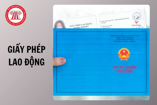 Hỏi đáp Pháp luật