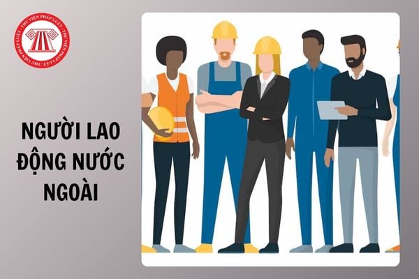 Hỏi đáp Pháp luật