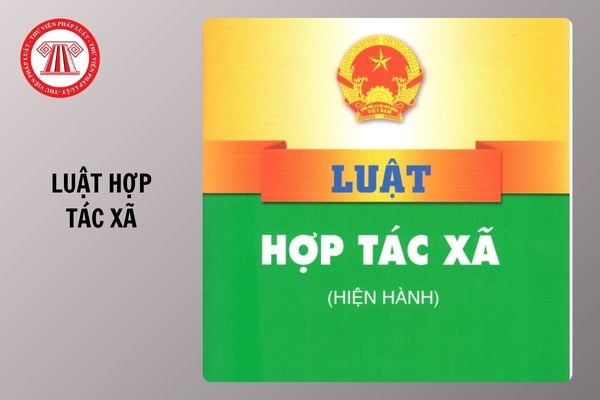 Hỏi đáp Pháp luật