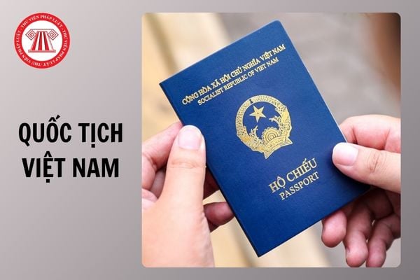 Hồ sơ kiến nghị tước quốc tịch Việt Nam từ 01/07/2025 bao gồm những gì?