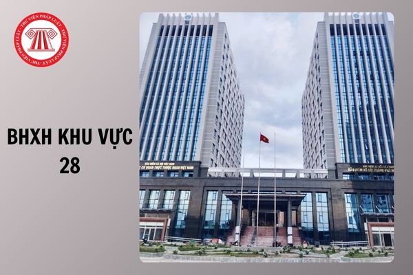 Hỏi đáp Pháp luật
