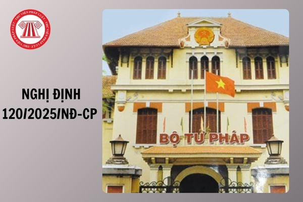 Hỏi đáp Pháp luật