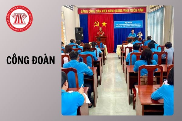 Hỏi đáp Pháp luật