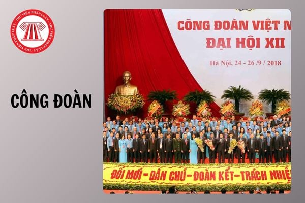 Hỏi đáp Pháp luật