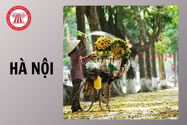 Hỏi đáp Pháp luật