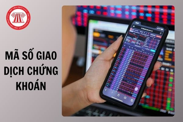 Hỏi đáp Pháp luật
