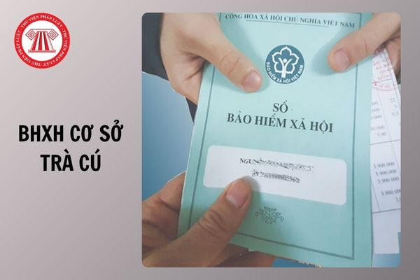 Địa chỉ và số điện thoại BHXH cơ sở Trà Cú tỉnh Vĩnh Long từ ngày 01/10/2025 như thế nào?