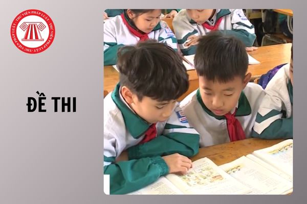 Hỏi đáp Pháp luật