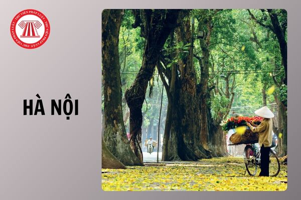 Hỏi đáp Pháp luật