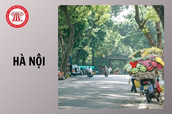 Hỏi đáp Pháp luật