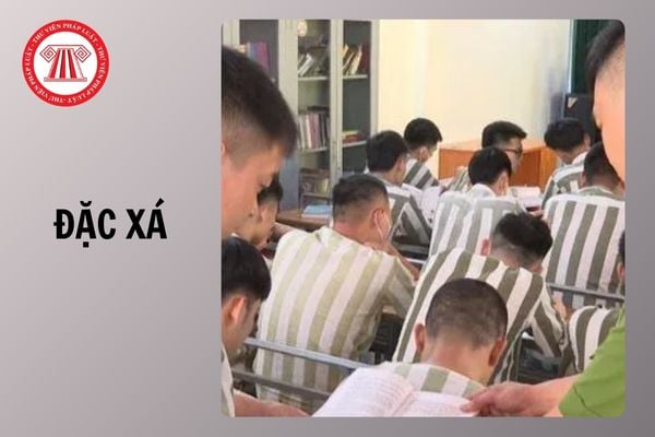 Hỏi đáp Pháp luật