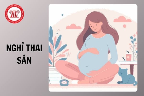 Hỏi đáp Pháp luật