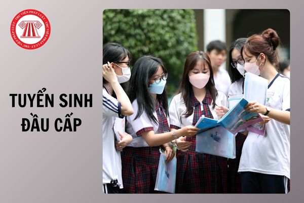 Hỏi đáp Pháp luật