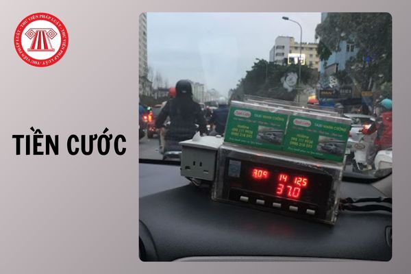 Hỏi đáp Pháp luật