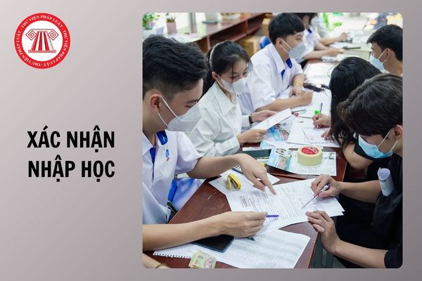 Sau khi xác nhận nhập học đại học trực tuyến thì làm gì?